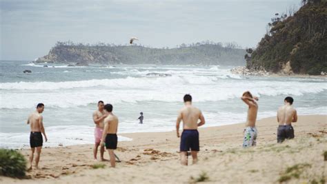 nsw beaches swimmers keeping lifesavers busy  christmas magnet eden nsw