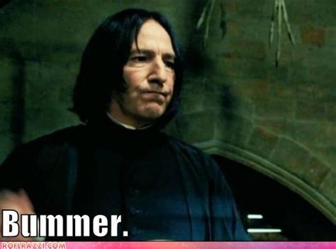 Severus Snape Image Gallery Know Your Meme