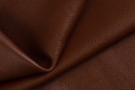 grain edelman leather