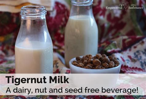 tigernut milk a dairy nut seed free milk alternative