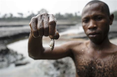 shell  pay damages  nigeria oil spill news al jazeera