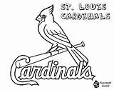 Coloring Pages Cardinal Cardinals Printable St Louis Getdrawings sketch template
