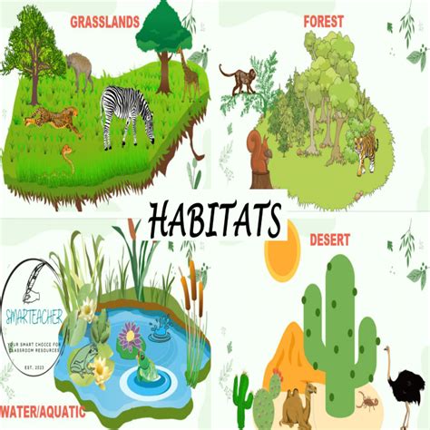 habitats poster set teacha