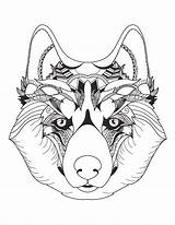 Loup Magnifique Tête Mindfulness Artherapie Loups Coloring Tete Cliquez Imprimez Gratuitement sketch template