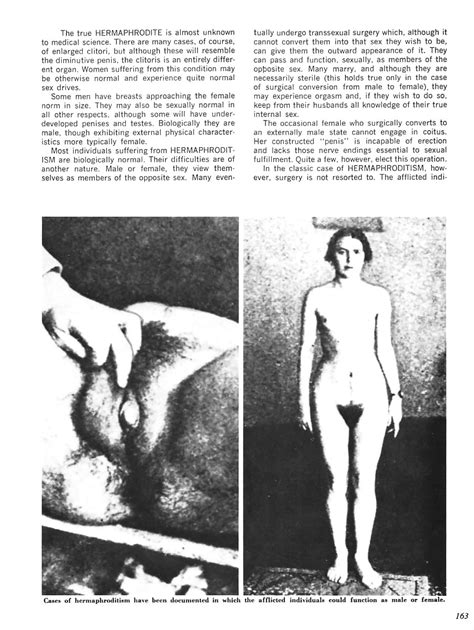 encyclopedia of deviant sexual behavior 3 30 pics xhamster