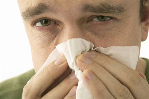 sinus infection symptoms  types  complications