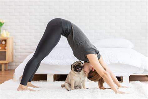 dog yoga lo yoga  il cane magaziene zooplus