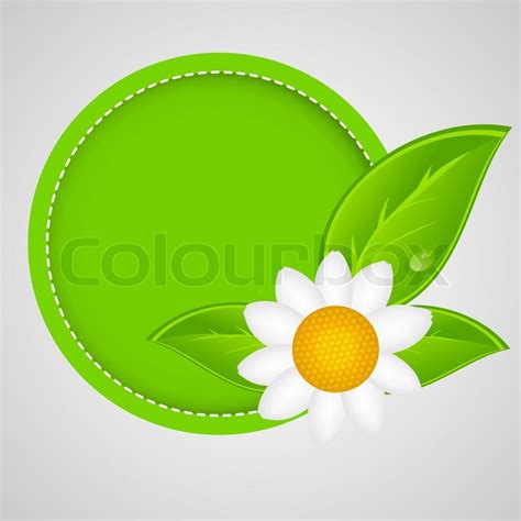 natural green label isolated  stock vector colourbox