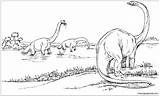 Brachiosaurus Brachiosauro Dinosaurs Gallimimus Stampare Printables Dinosauri Preschool sketch template