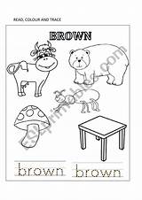 Brown Worksheet Worksheets Preview sketch template