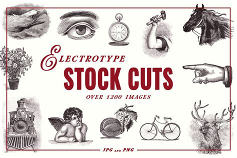 electrotype stock cuts animal illustrations creative market