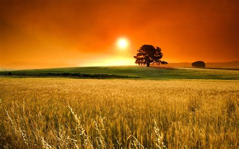 beautiful backgrounds  pc pixelstalknet