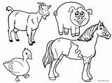 Farm Coloring Animal Animals Printable Barnyard Cool2bkids Baby sketch template