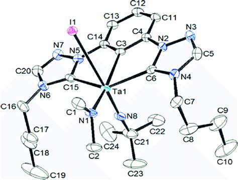 molecular structure   scientific diagram