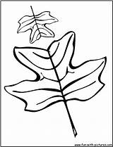 Tulip Coloring Tree Leaves Oak Poplar Clipart Pages 20coloring 20leaves 20pages Clipground Clipartpanda Fun Autumn Funny sketch template