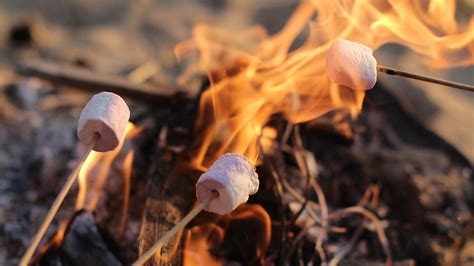 tips    roasting marshmallows  summer