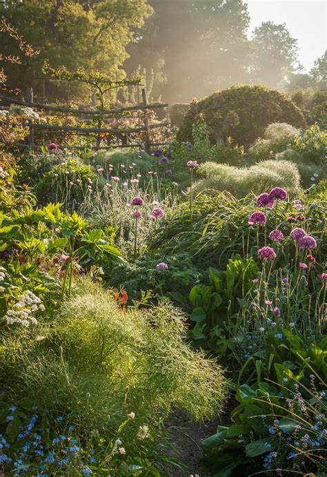International Garden Photographer Of The Year – In Pictures Beautiful
