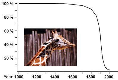 giraffes  forgotten mega fauna ati holidays