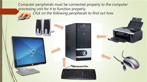 demonstrate   connect properly computer peripherals