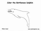 Dolphin Coloring Bottlenose Sponsors sketch template