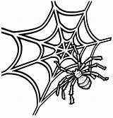 Spinnennetz Malvorlagen sketch template