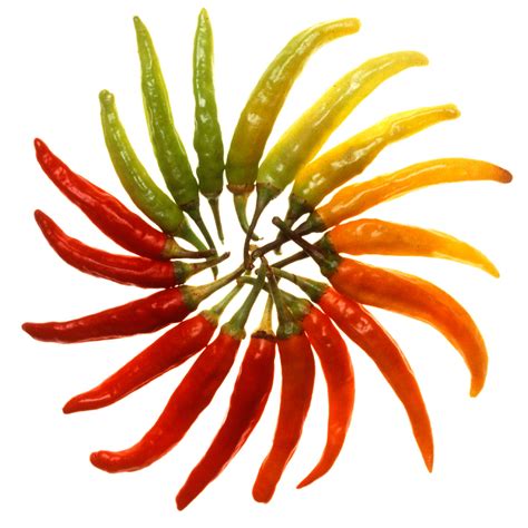 hot peppers stop burning