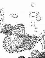 Coloring Coral Pages Sea Reef Sponge Barrier Great Color Printable Drawing Brain Print Kids Getcolorings Animal Getdrawings Animals Orchid Popular sketch template