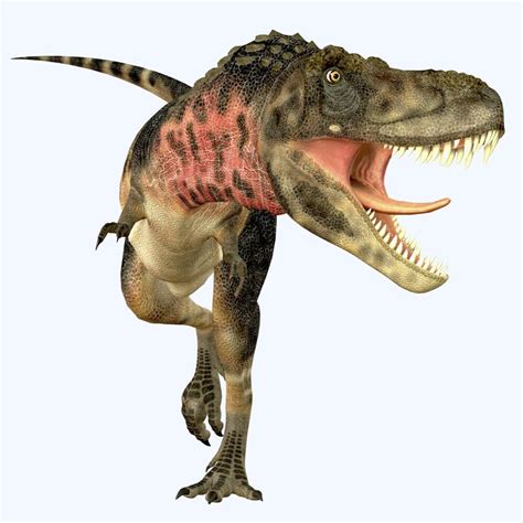 tarbosaurus   carnivorous theropod dinosaur  lived