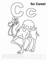 Camel Dromadaire Animaux Caravan Camels Coloriages sketch template