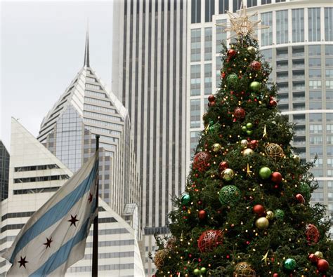daley plaza christmas tree en route  chicago video huffpost