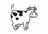 Coloring Cow Koe Large Kleurplaat sketch template