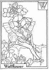 Fairies Wallflower Alphabet Fadas Cicely Barker Tresor Momes Doghousemusic sketch template
