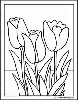 Coloring Tulip Pages Flower Tulips Printable Pdf Flowers Color Three Spring Printables Realistic Stained Glass Blossoms Colorwithfuzzy sketch template