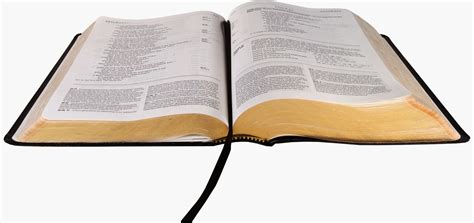 blogging scripture     biblical discernment