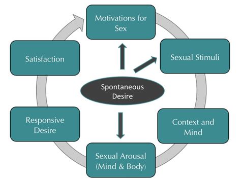the sexual response cycle and why it matters sex therapy