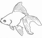 Goldfish Coloring Pages Printable Kids Fish Drawing Small Realistic Drawings sketch template