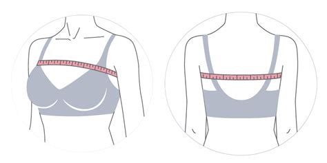 size measure bra size bra size calculator bravado designs
