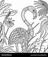 Coloring Summer Time Flamingo Book Vector Royalty sketch template
