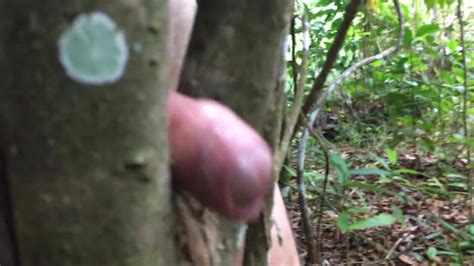 Risky Outdoor Tree Fuck Near Jogging Trail Gay Porn A6