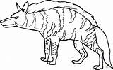 Hyena Hiena Iena Hyenas Supercoloring Stampare sketch template