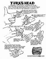 Knots Knot Paracord Scouts Turks Ropes Neckerchief Woggle Foulard Scoutmastercg Turkshead Pfadfinder Turk Mobapp sketch template