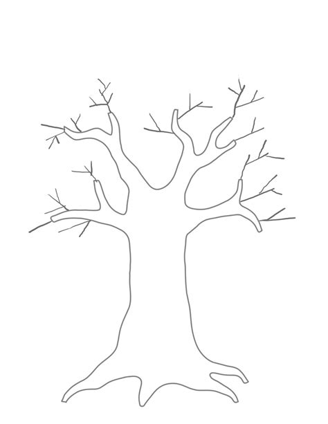 photo  template  tree outline template printable coloring home