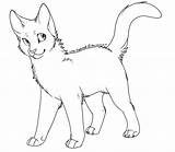 Cat Warrior Cats Lineart Coloring Drawing Transparent Outline Pages Template Bluestar Line Warriors Kitten Oc Clipart Clip Use Looking Library sketch template