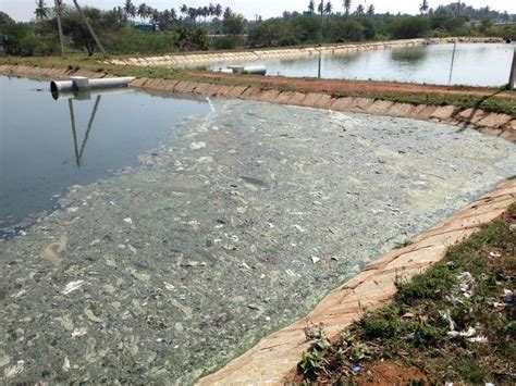 waste  watts  sewage   fix indias water energy  sanitation woes wri india