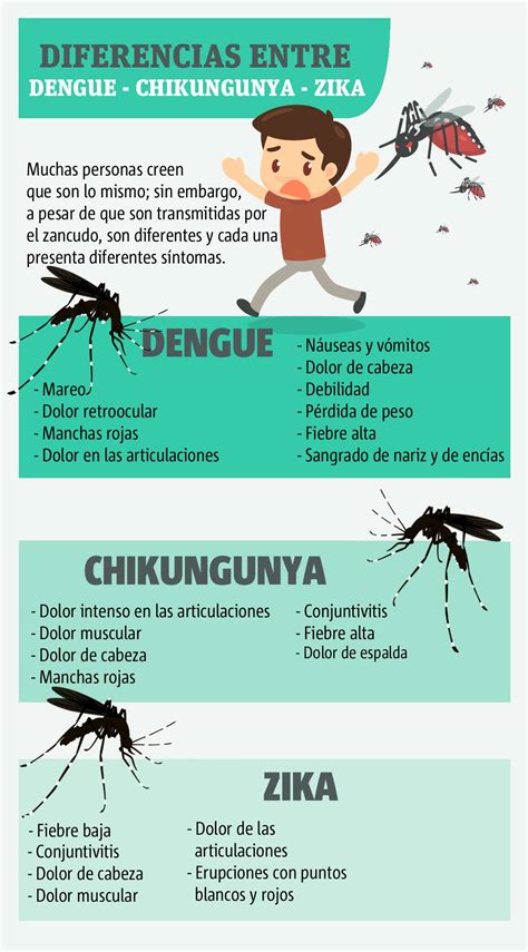 datos importantes  debes conocer acerca del zika publinews