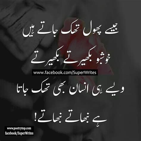 sad quotes urdu  sad quotes  urdu  love  life  images