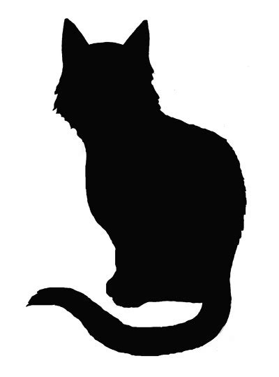 pictures   black cats black cat silhouette