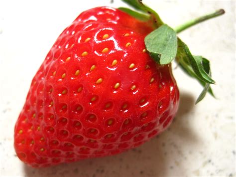 fotos gratis naturaleza planta baya dulce maduro comida rojo produce delicioso fresa