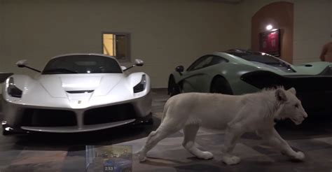 garasi mobil mewah dijaga dua singa putih masih berani