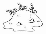 Anthill Ant Mrowisko Budują Mrówki Kolorowanki Owady Kolorowanka sketch template